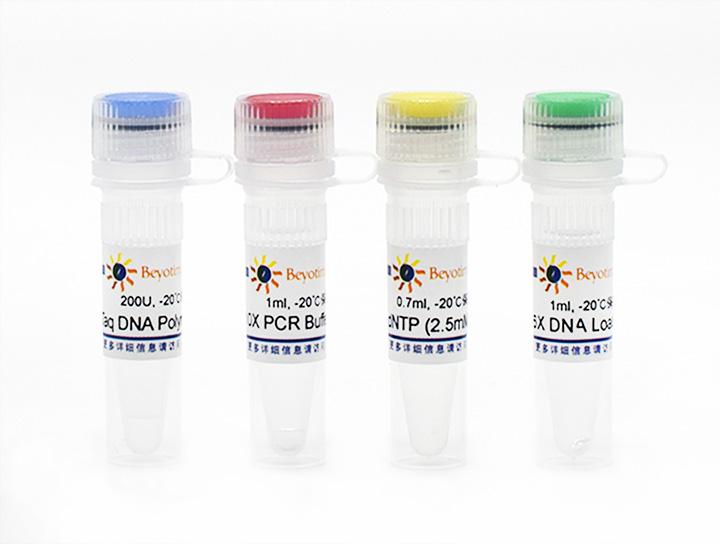 PCR Kit with Taq
